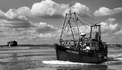 神奇的cc攻击工具