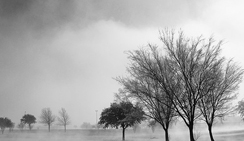 网页DDOS攻击平台